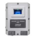 ZWIN-PVOC06揮發性有機物在線監測系統（防爆型）